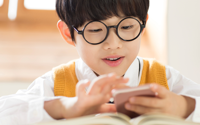 도입효과 이미지